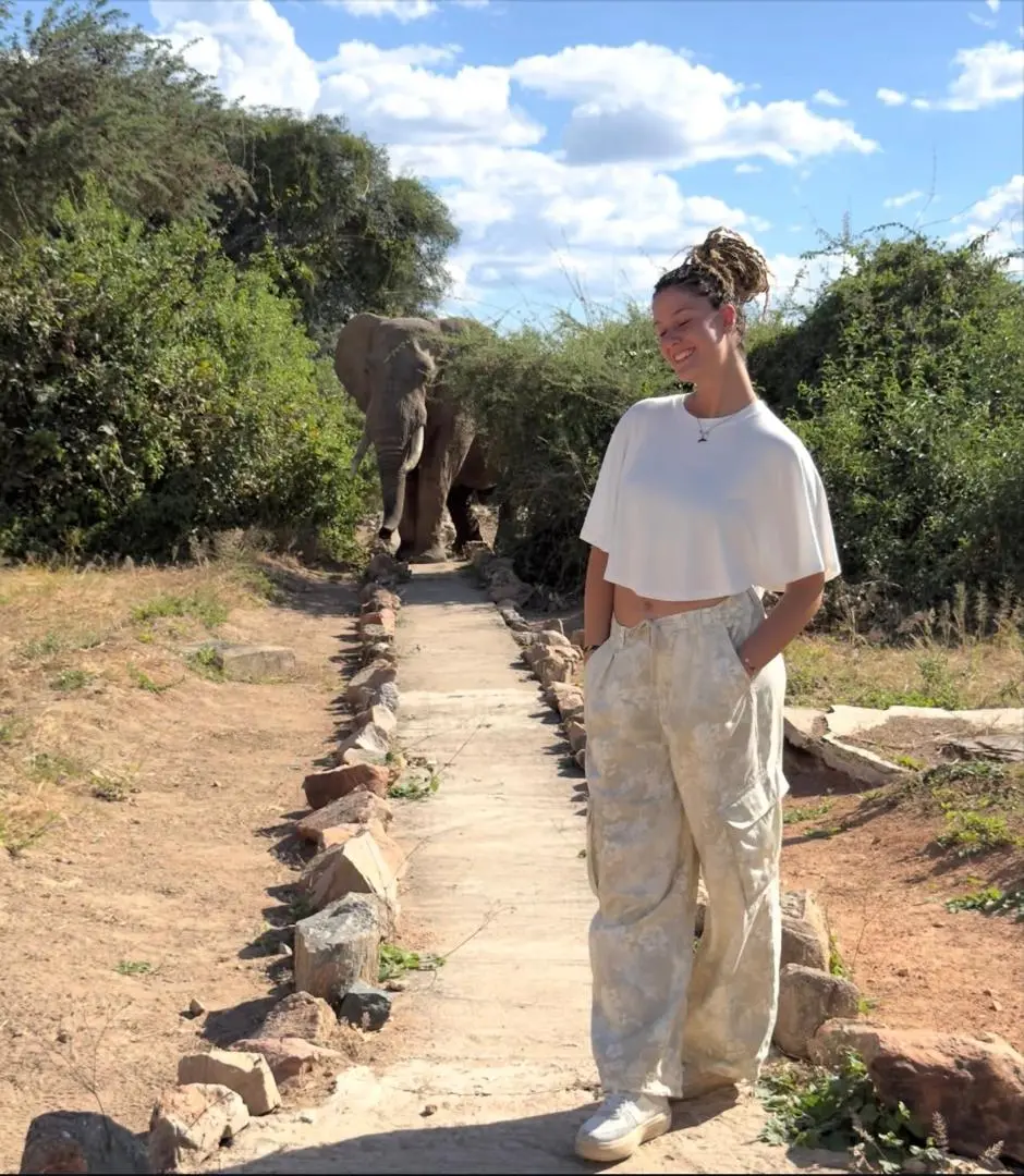 Face to face with an elephant on the trail