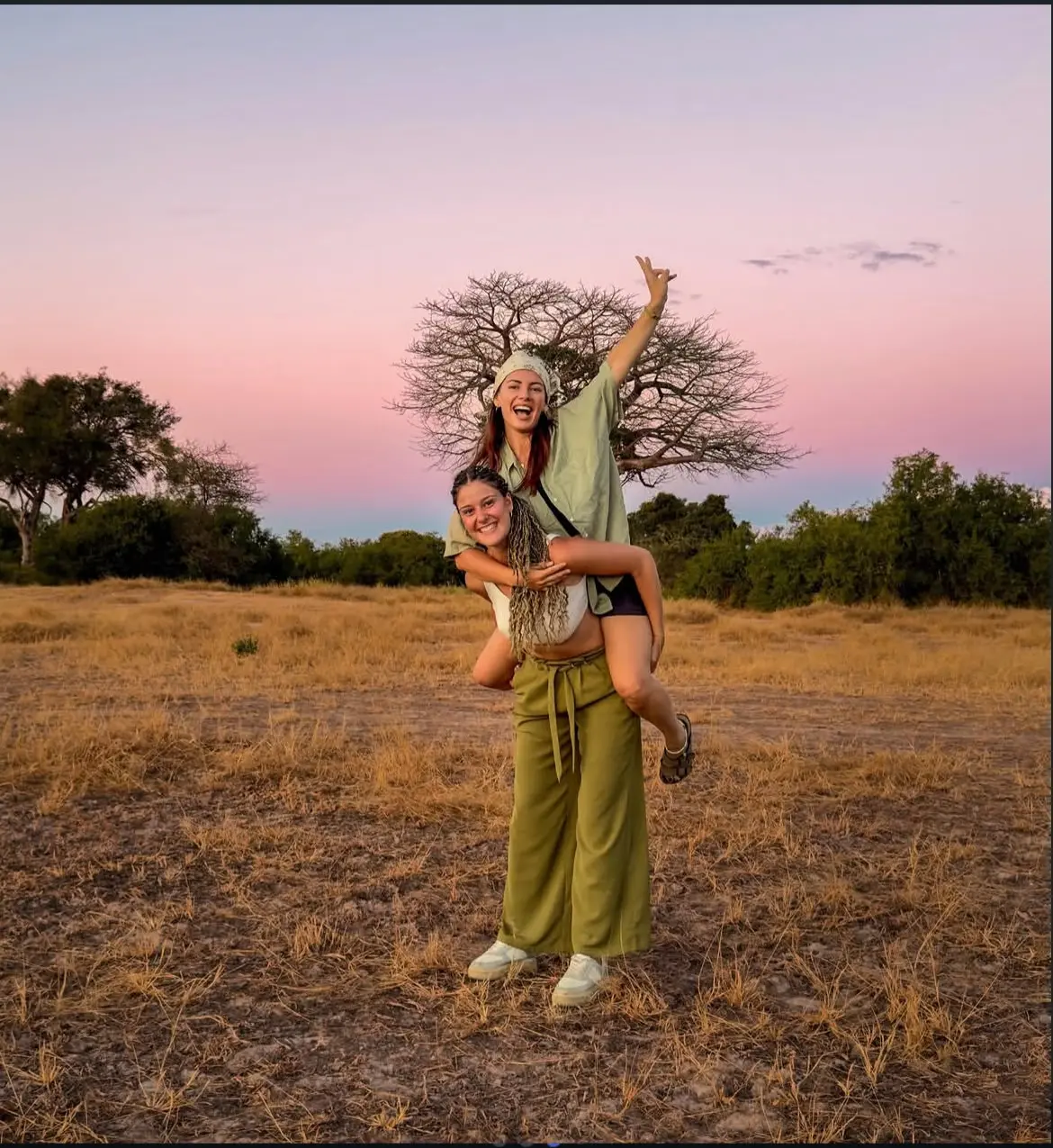 Acacia at sunset on the savanna